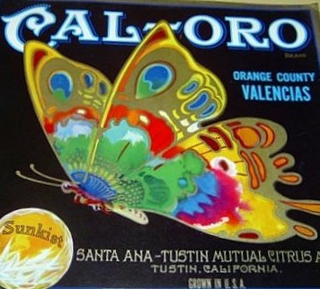 Cal Oro butterfly label vintage backyard