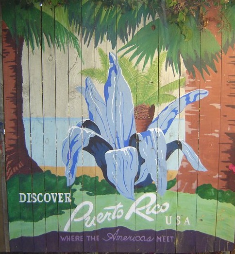 puerto rico mural vintage decor