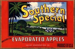 southern special vintage label