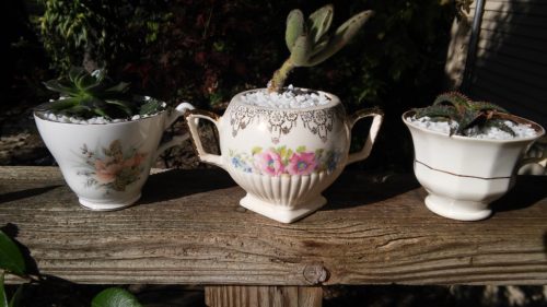 tea sucs sun trio simple vintage gift idea